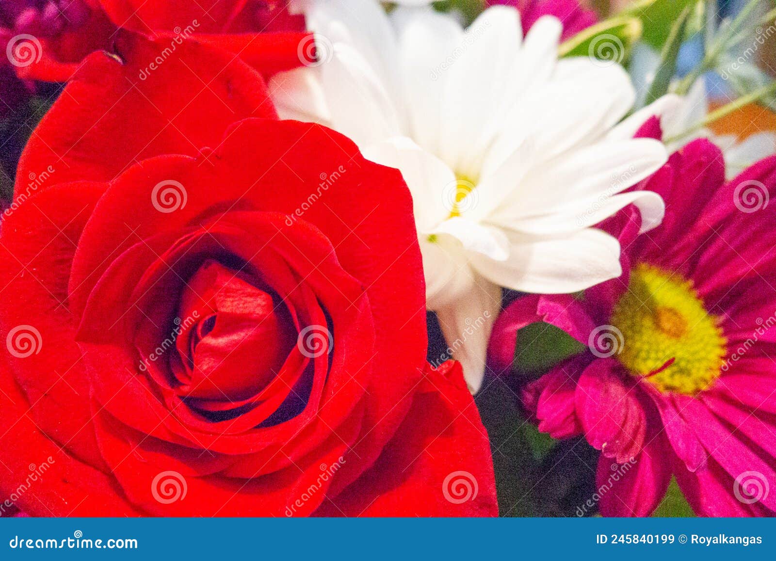 Assortment of Bright Flowers in an Arrangement Stock Image Image of background, daisy 245840199
