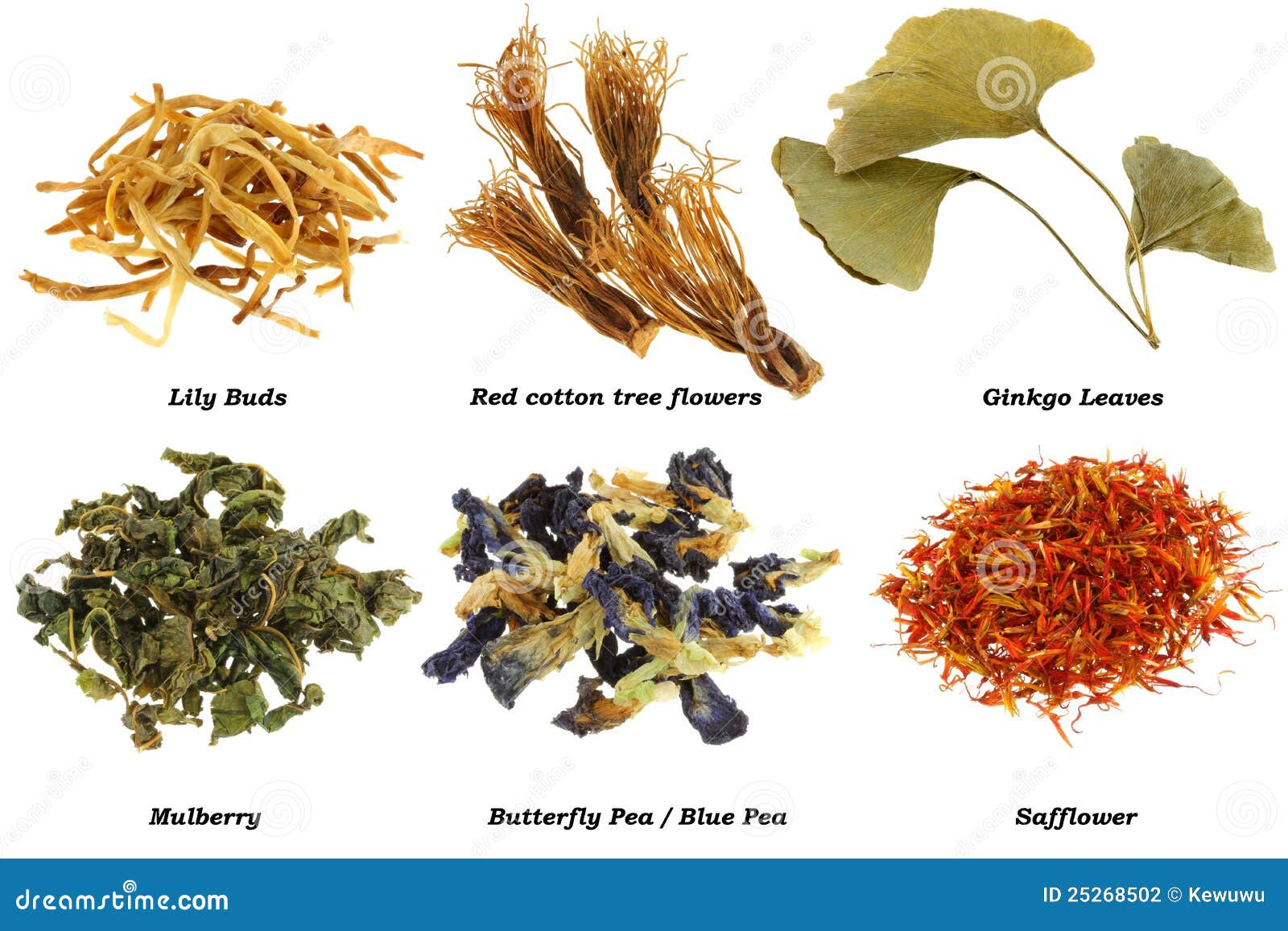 Assortment of Dried Herbal Tea Stock Photo Image of ingredient