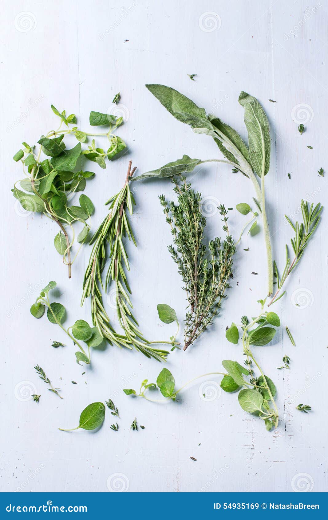 Assortment of fresh herbs stock image. Image of fresh - 54935169