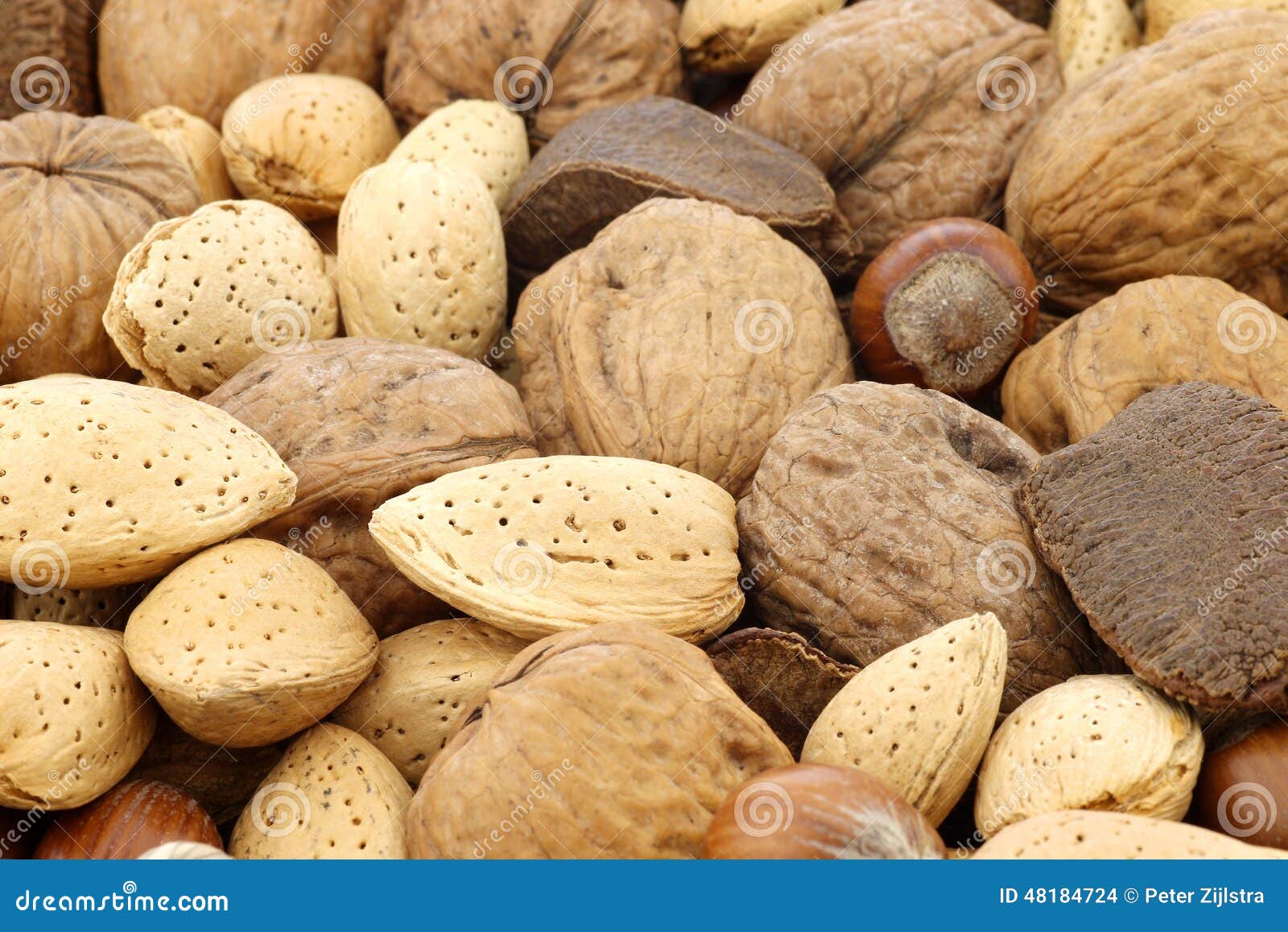 Assortment of fresh nuts stock photo. Image of fall, equipment 48184724
