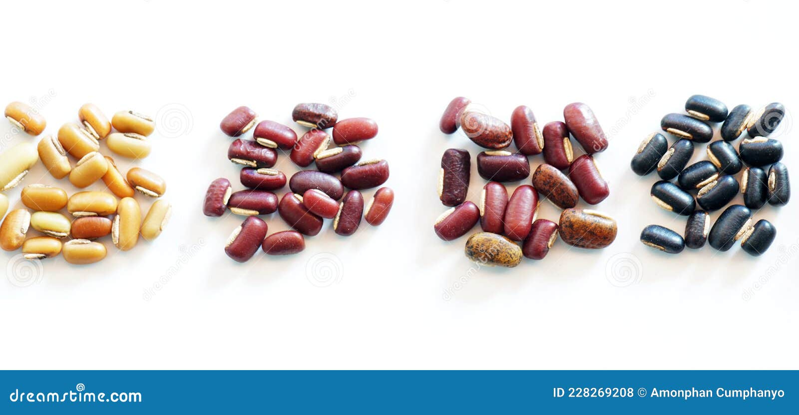 Assortment of Many Kinds of Beans, Nuts for Animal Feed Stock Photo