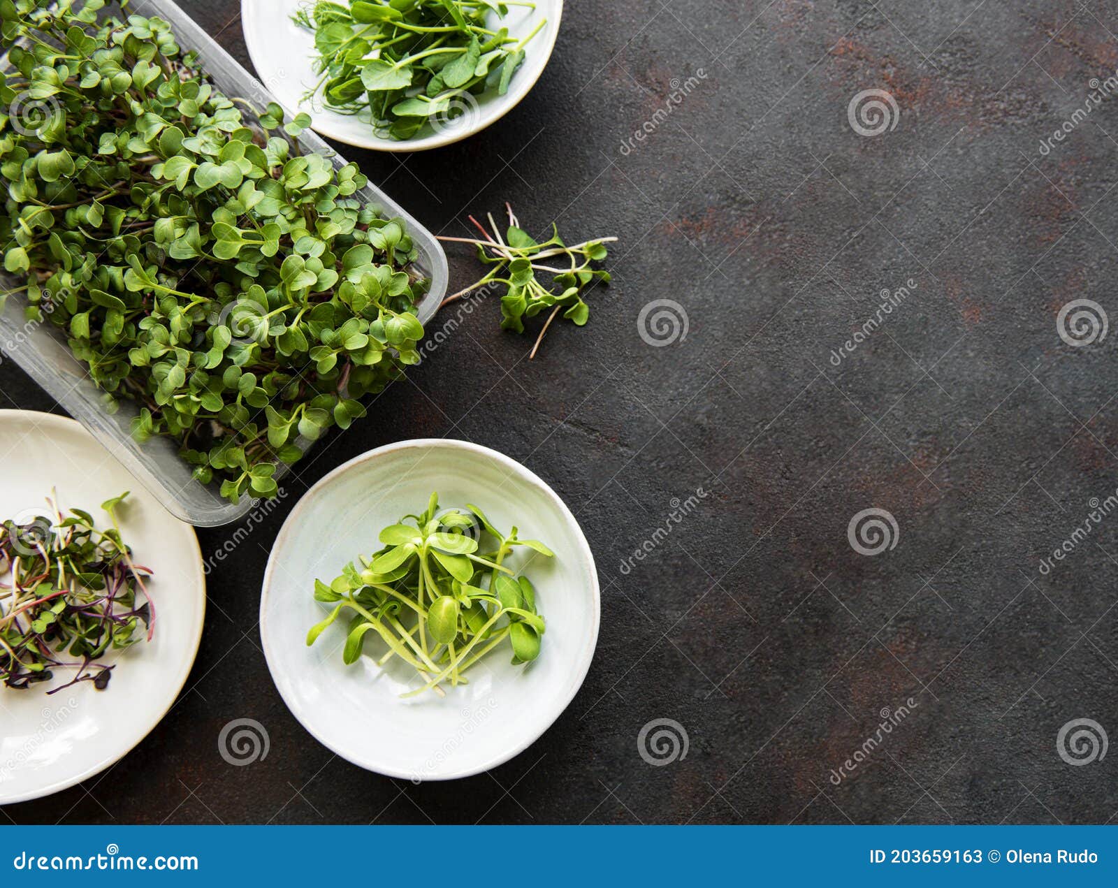 assortment of micro greens at black background, copy space, top view