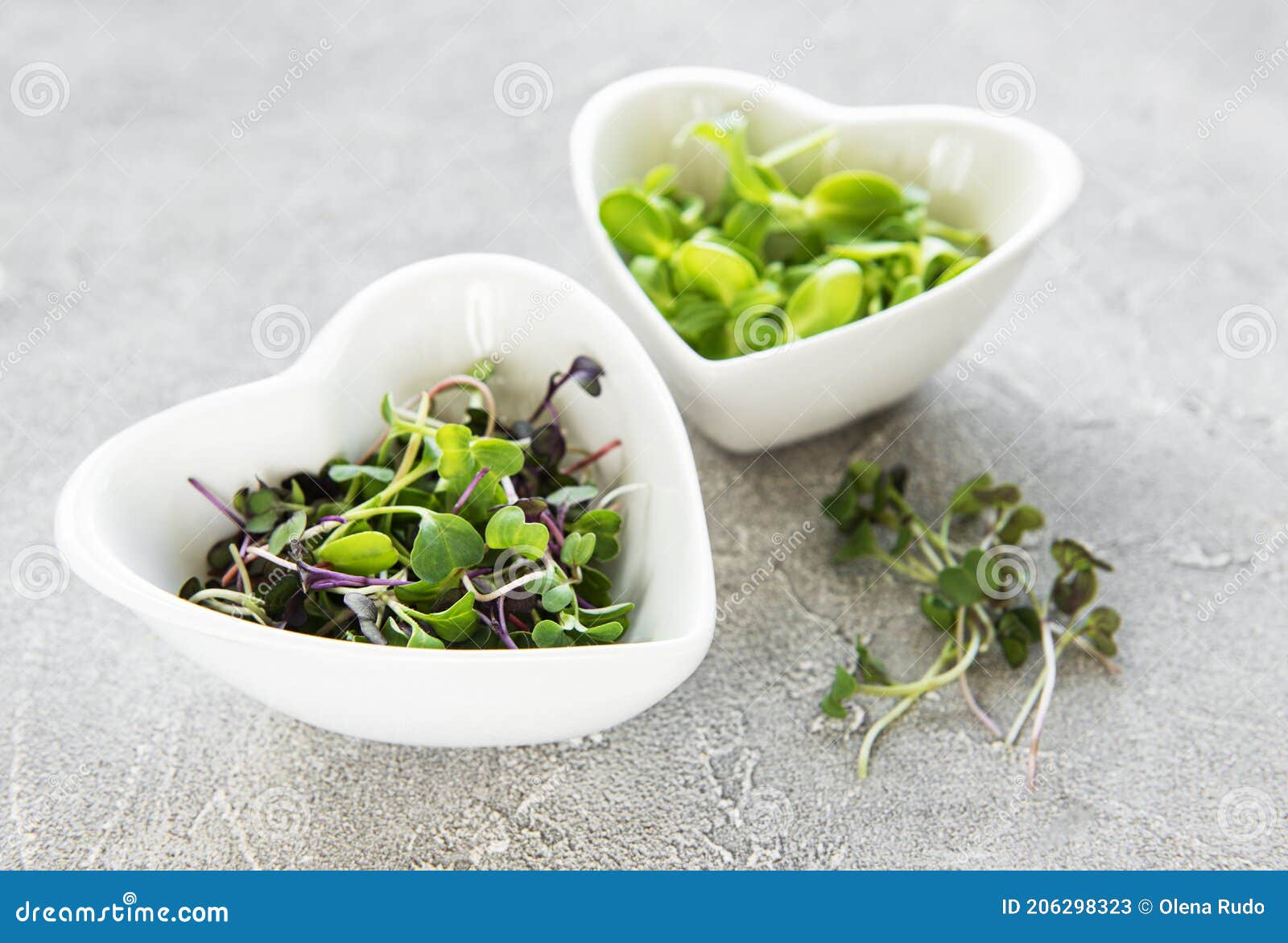 assortment of micro greens at concrete background,  top view.