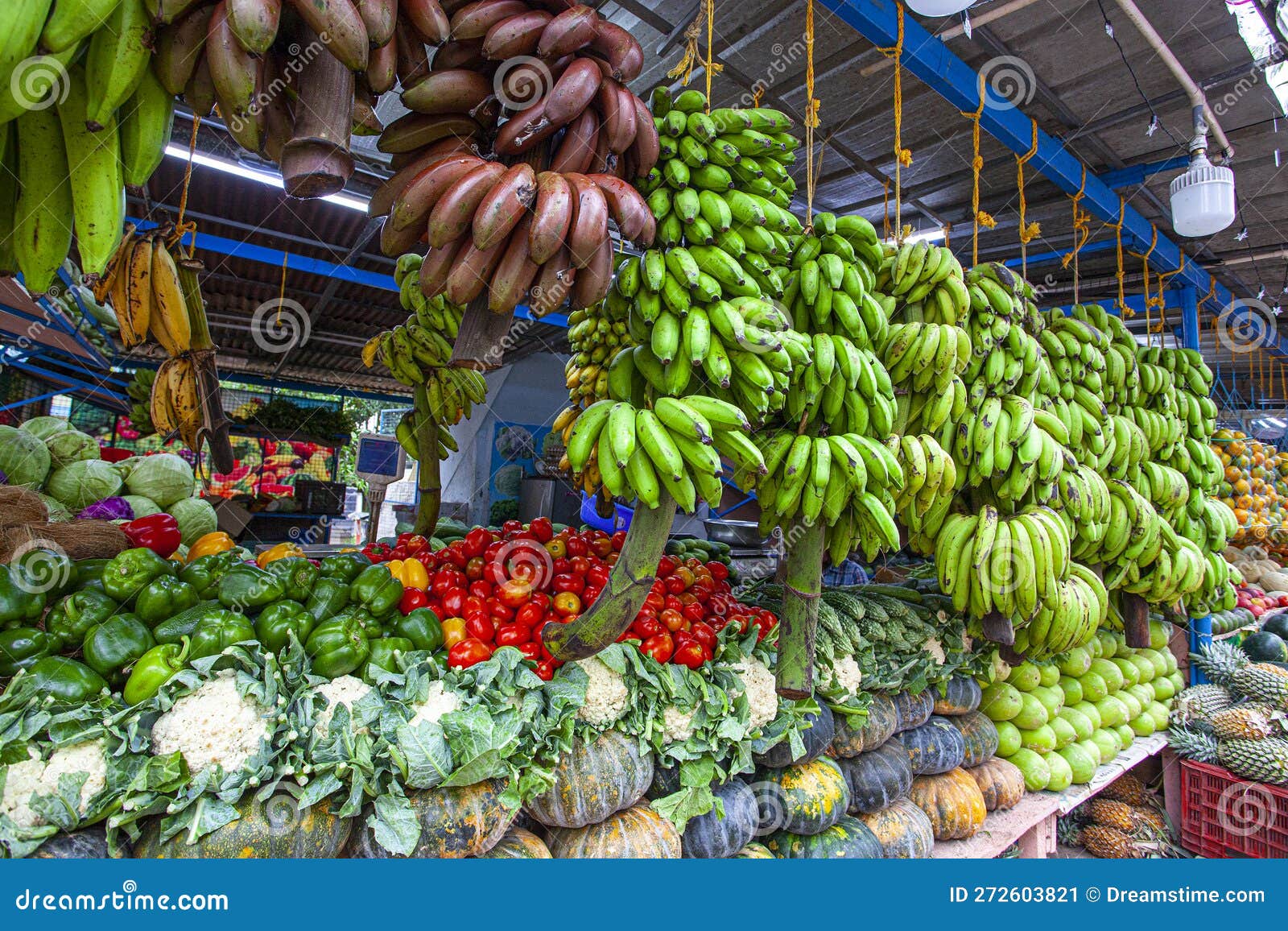 Assortment Od the Different Kinds of Bananas and Vegetables in Kerala