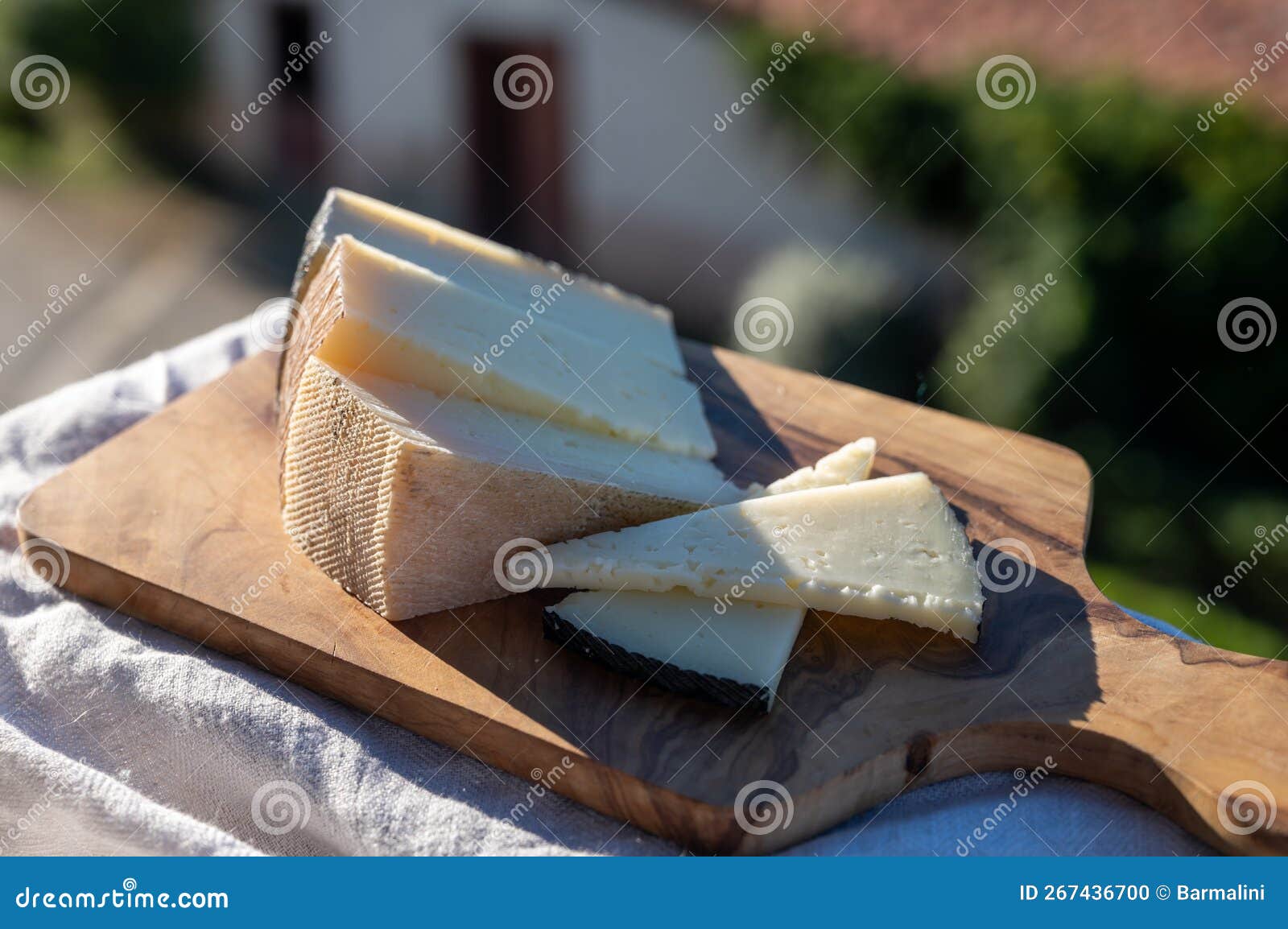 Assortment Of Spanish Hard Cheeses Curado Manchego Goat And Sheep