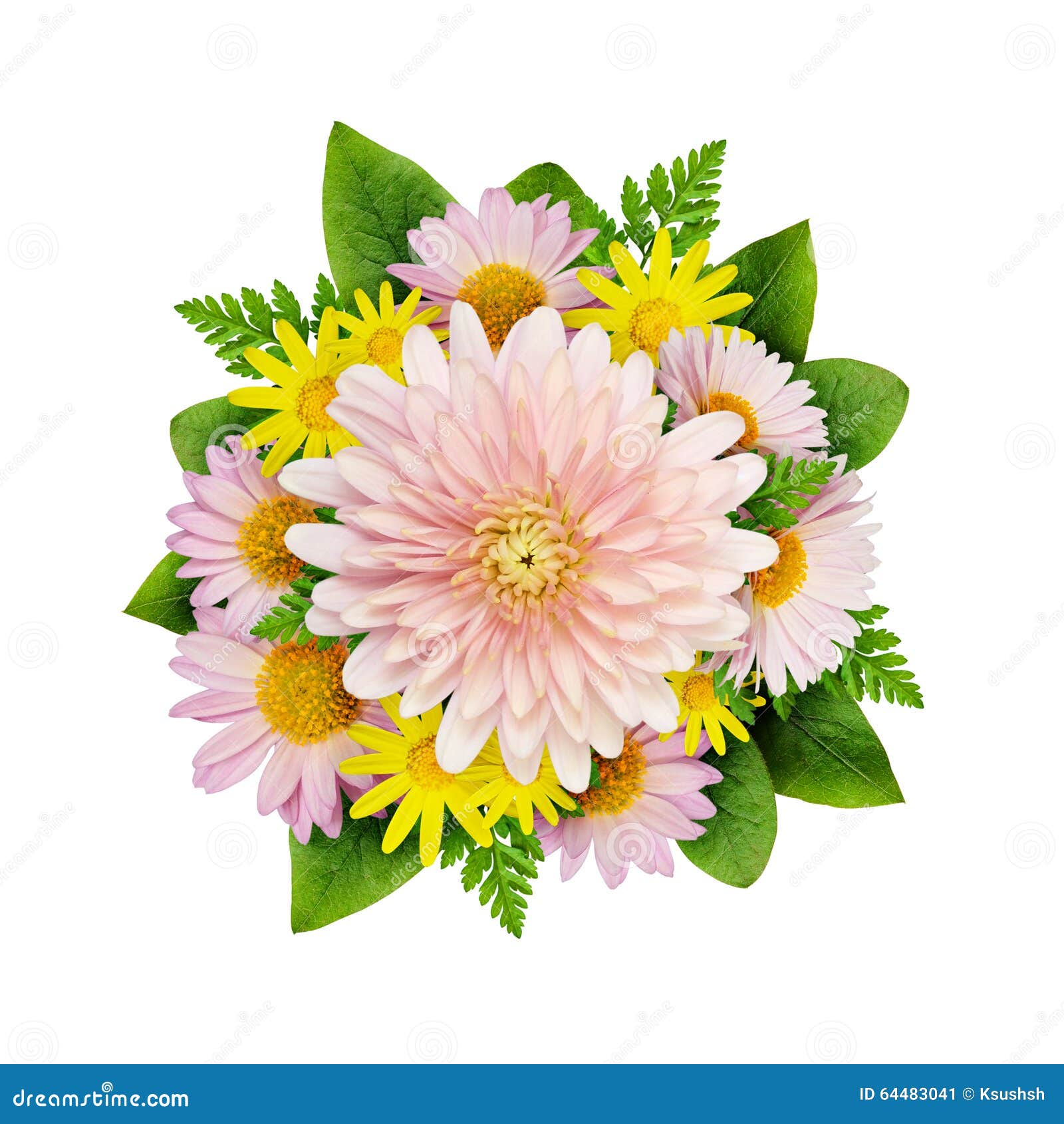 Aster flowers bouque stock image. Image of blowball, holiday - 64483041