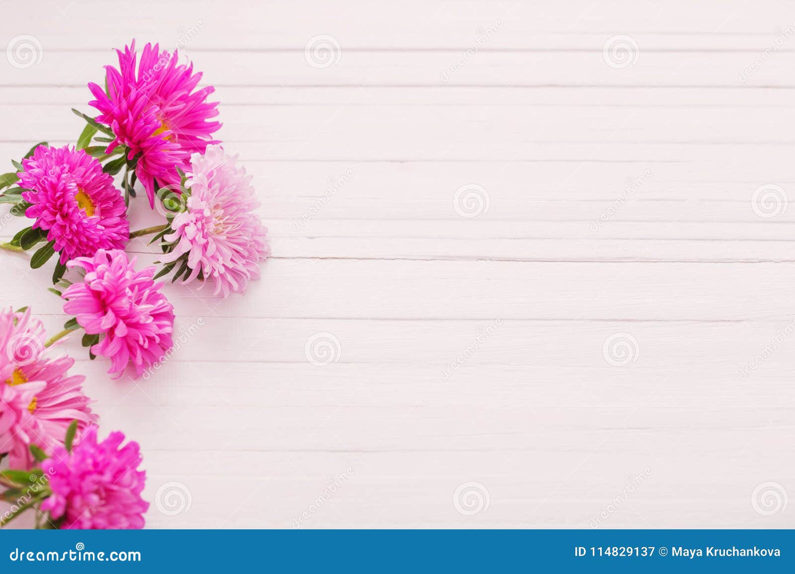 Asters On White Wooden Background Stock Image Image Of Pattern Blossom 114829137