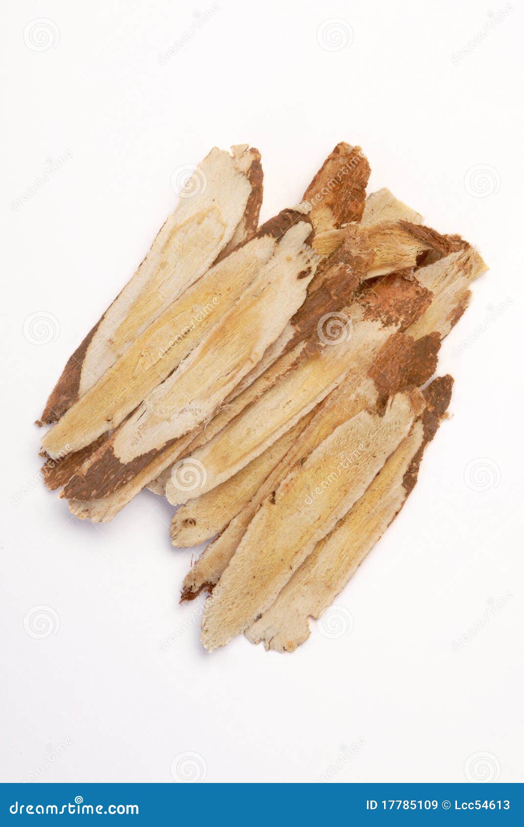 Astragalus root stock image. Image of natural, ingredient 17785109