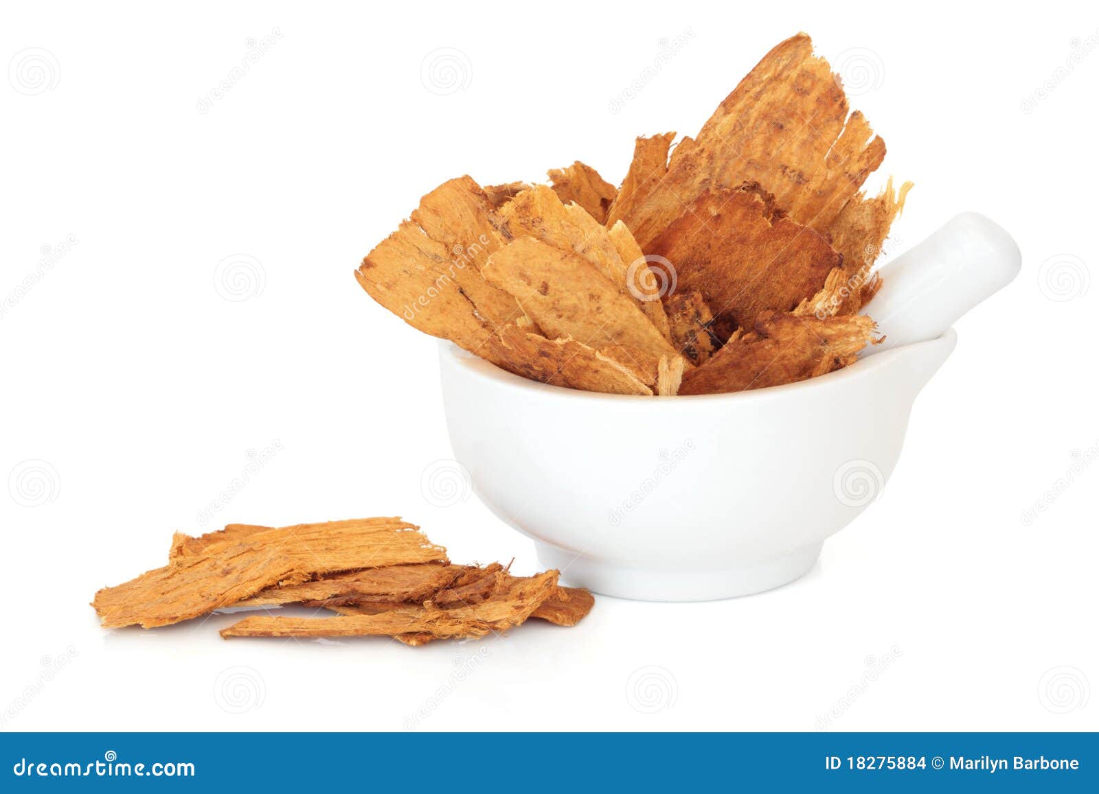 Astragalus Root stock photo. Image of plant, mortar, pestle 18275884