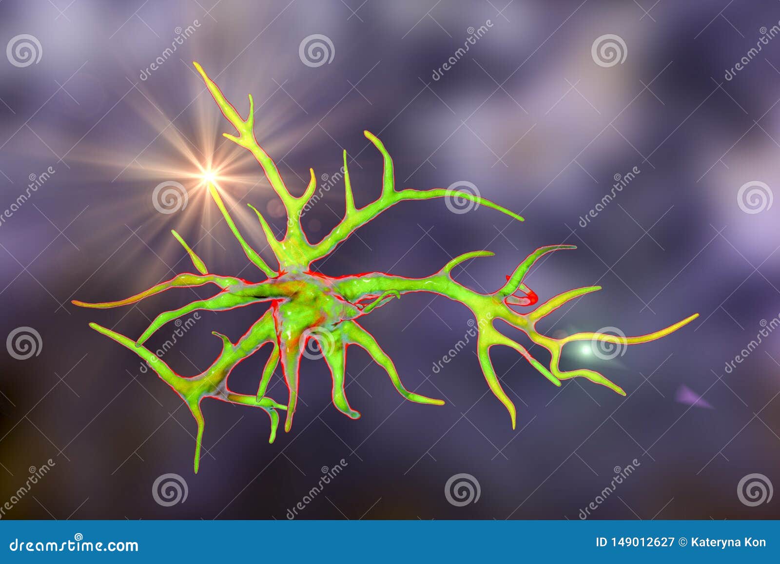 astrocyte, a brain glial cell