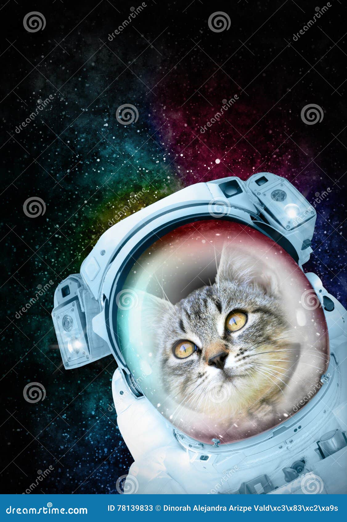 astronaut cat exploring the space