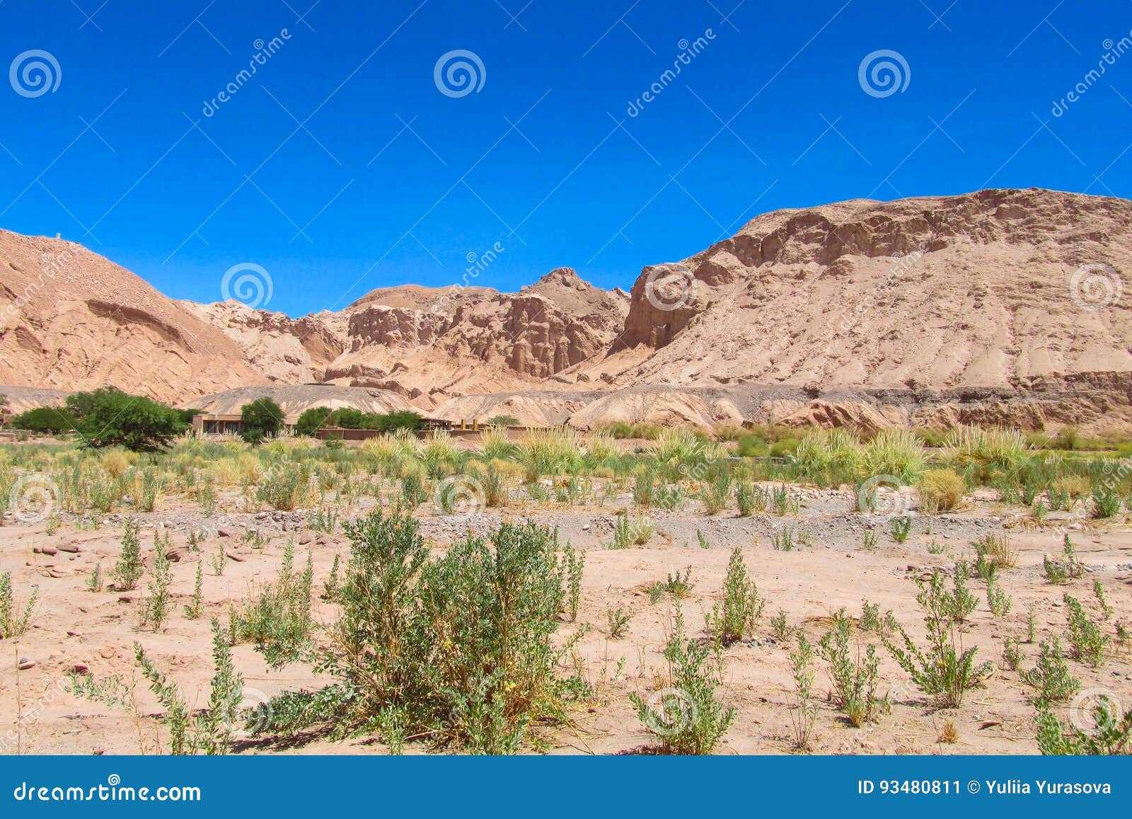 Atacama Desert Arid Flat Land An Mountains Stock Image Image Of