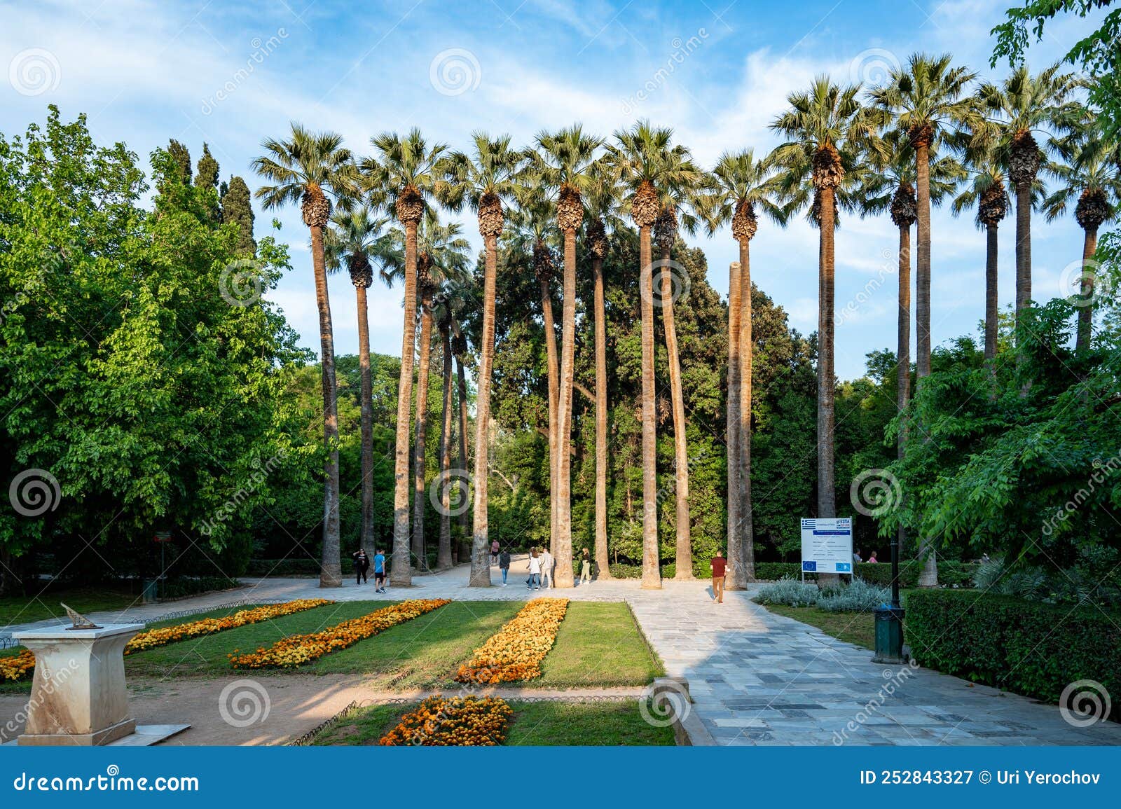 ATHENS, GREECE - MAY 14, 2022: Palm Trees in the Athens National Garden 