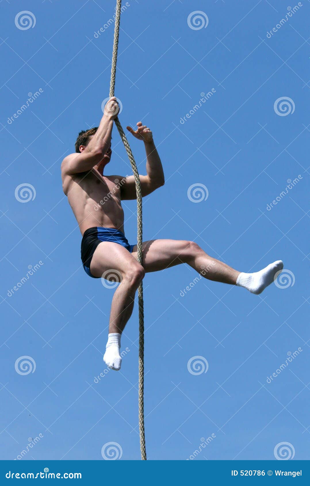 Athlete Climbing Up the Rope Stock Photo Image of bodybuilder