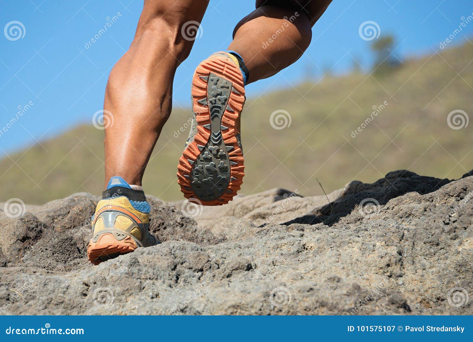 143,350 Sports Run Stock Photos - Free & Royalty-Free Stock Photos from  Dreamstime
