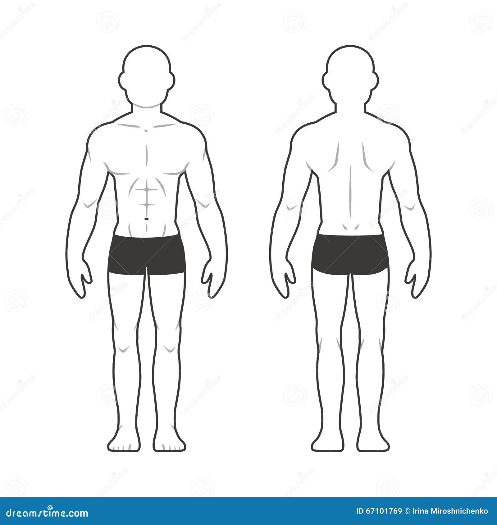 Body Chart