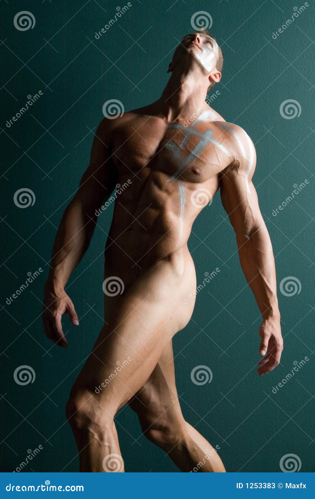 The Male Nude Body