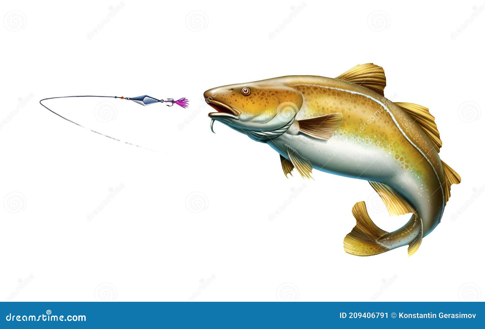 Atlantic Cod Fish Attack Fish Bait Jigs and Stakes Spoon Bait Jumping Out  of Water Illustration Isolate Realistic. Stock Illustration - Illustration  of atlantic, horizontal: 209406791