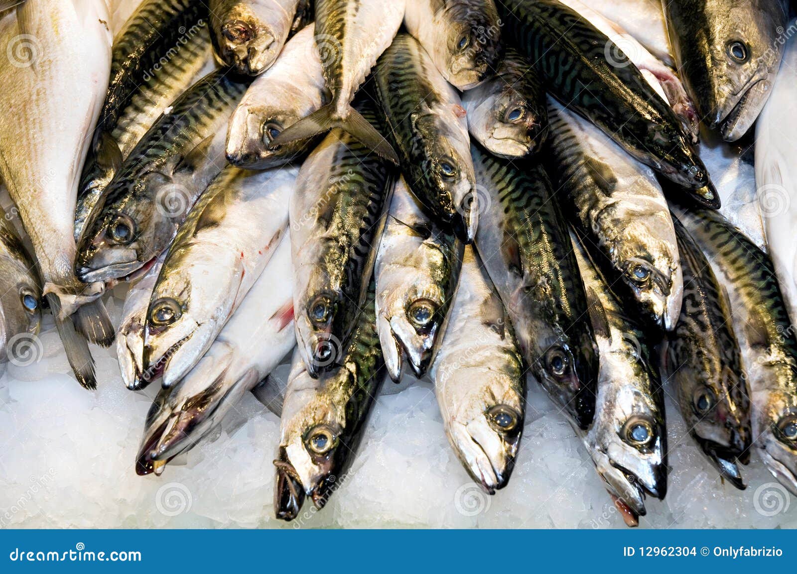 Atlantic mackerel stock photo. Image of food 12962304