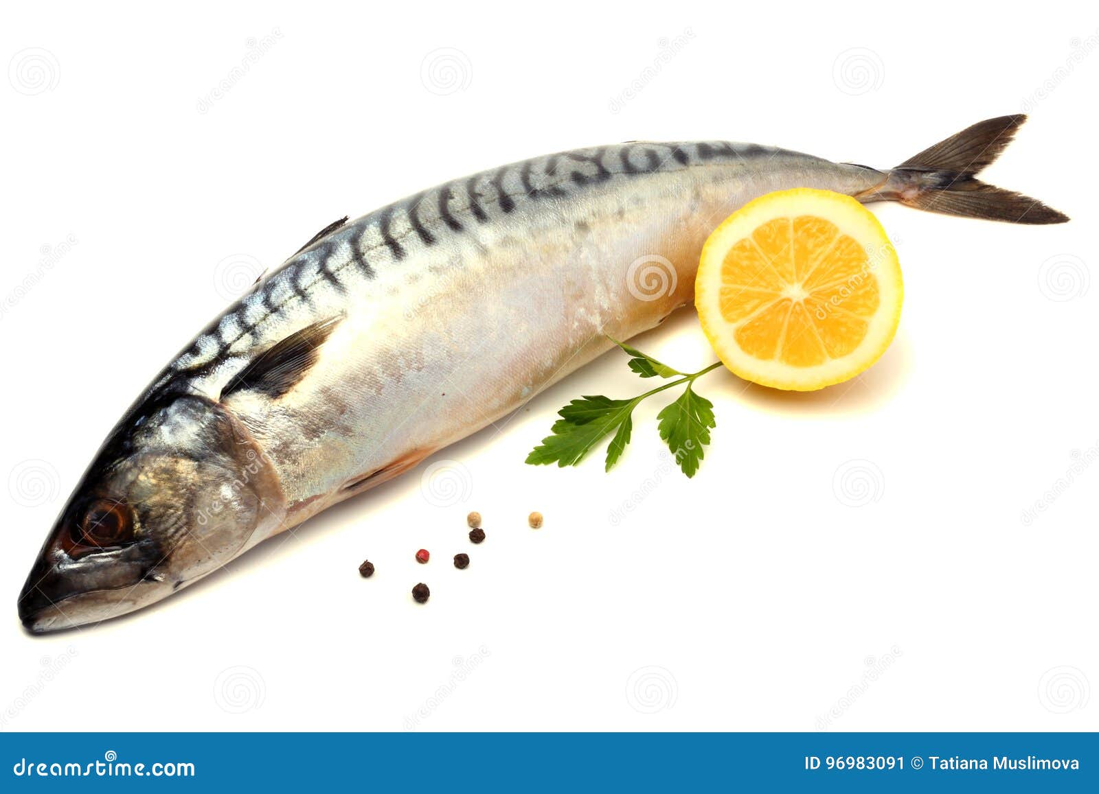 Atlantic Mackerel Fish Isolated on White Stock Image Image of