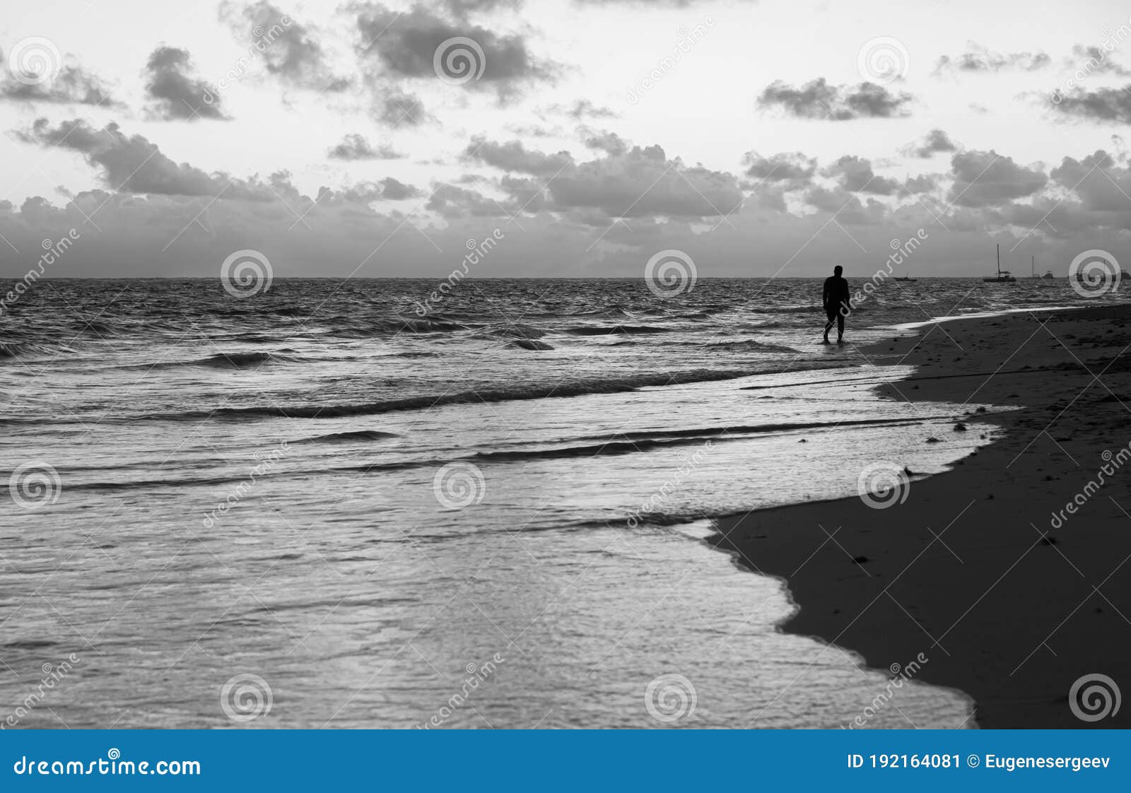 Atlantic Ocean Coast. Black and White Landscape Stock Image - Image of ...