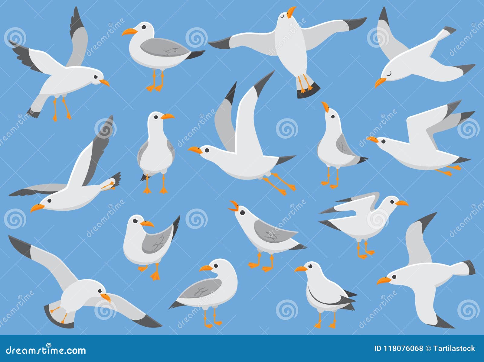 atlantic white seabird fly at sky. beach seagull at quay. sea birds, gull cartoon  