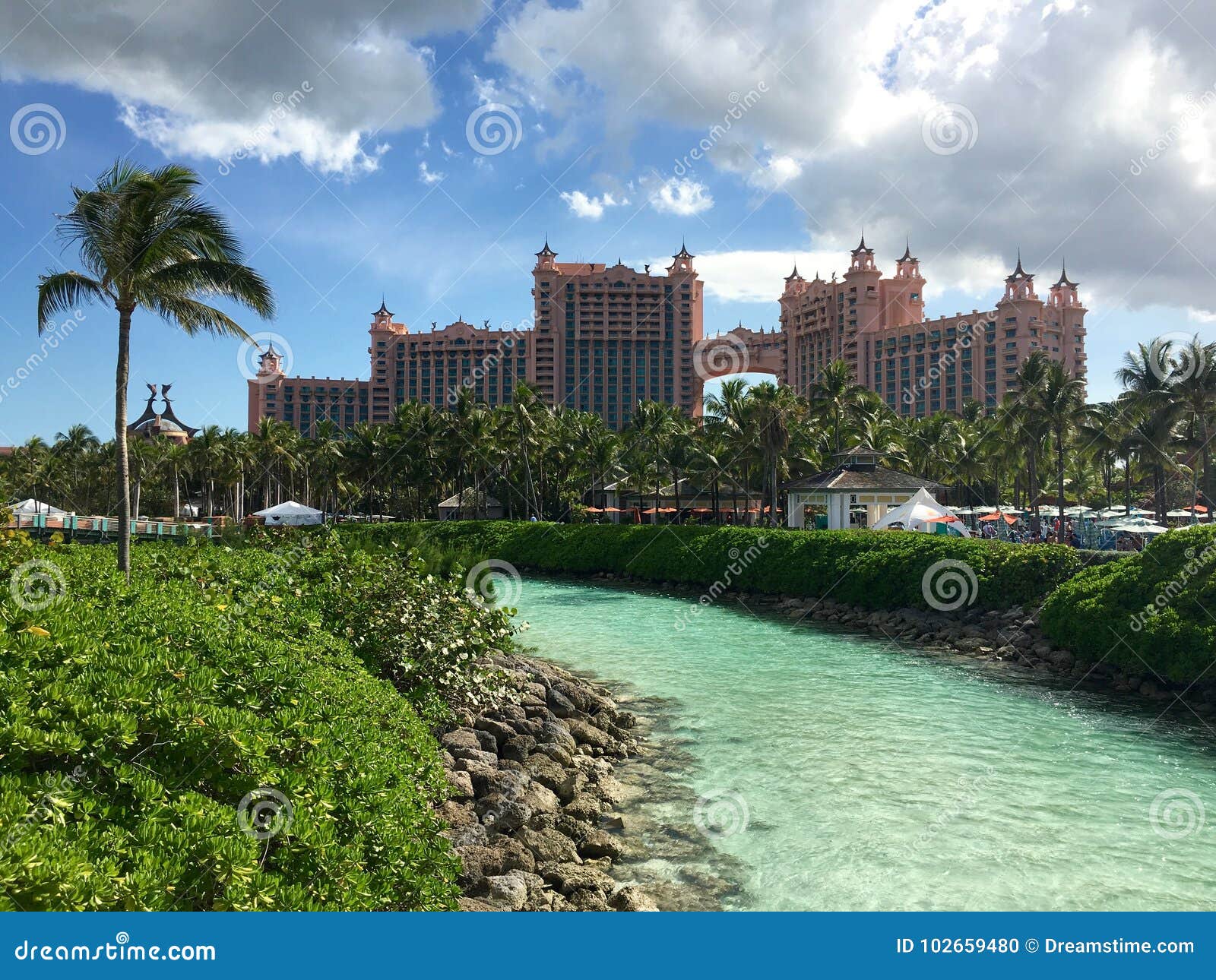 Atlantis stock photo. Image of resort, bahamas, tree 102659480