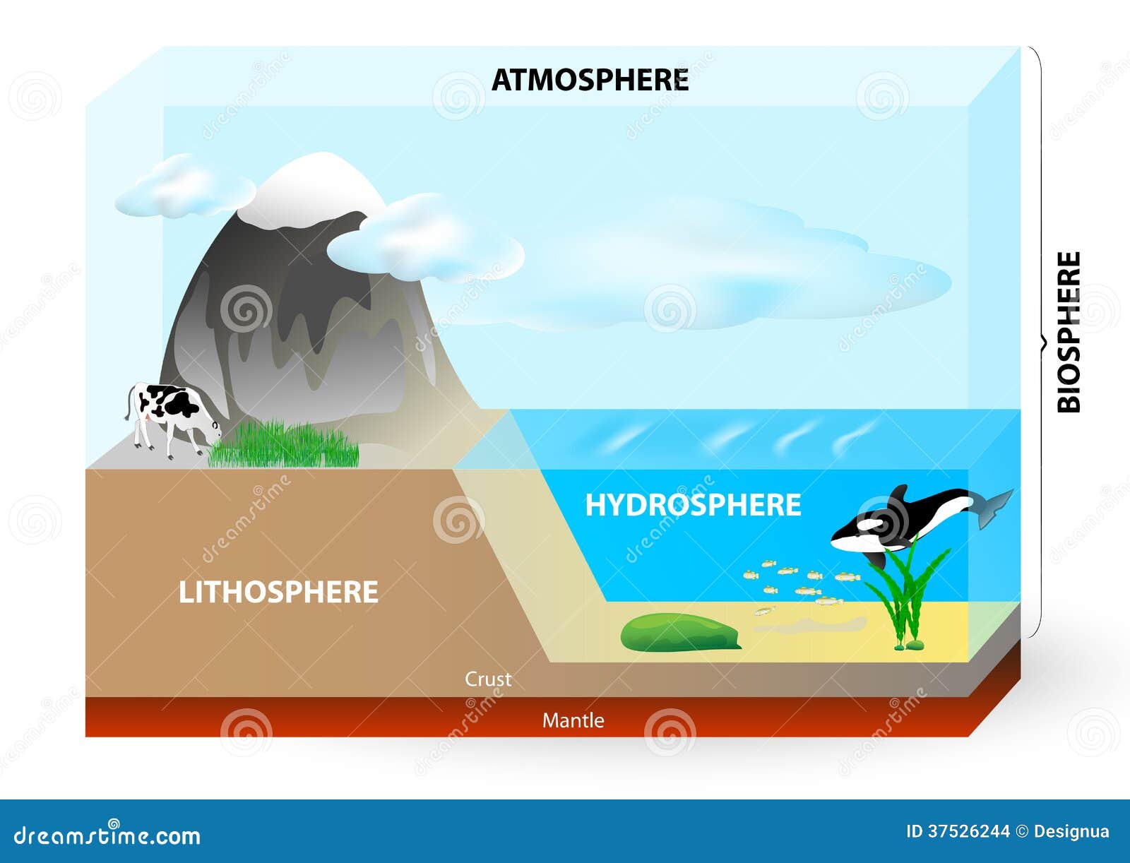 Hidrosfera ¿Qué es