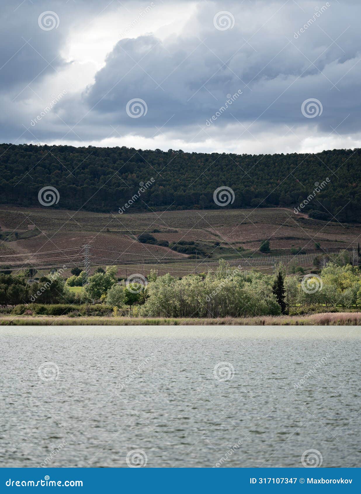 overcast day at the lakeside vineyard