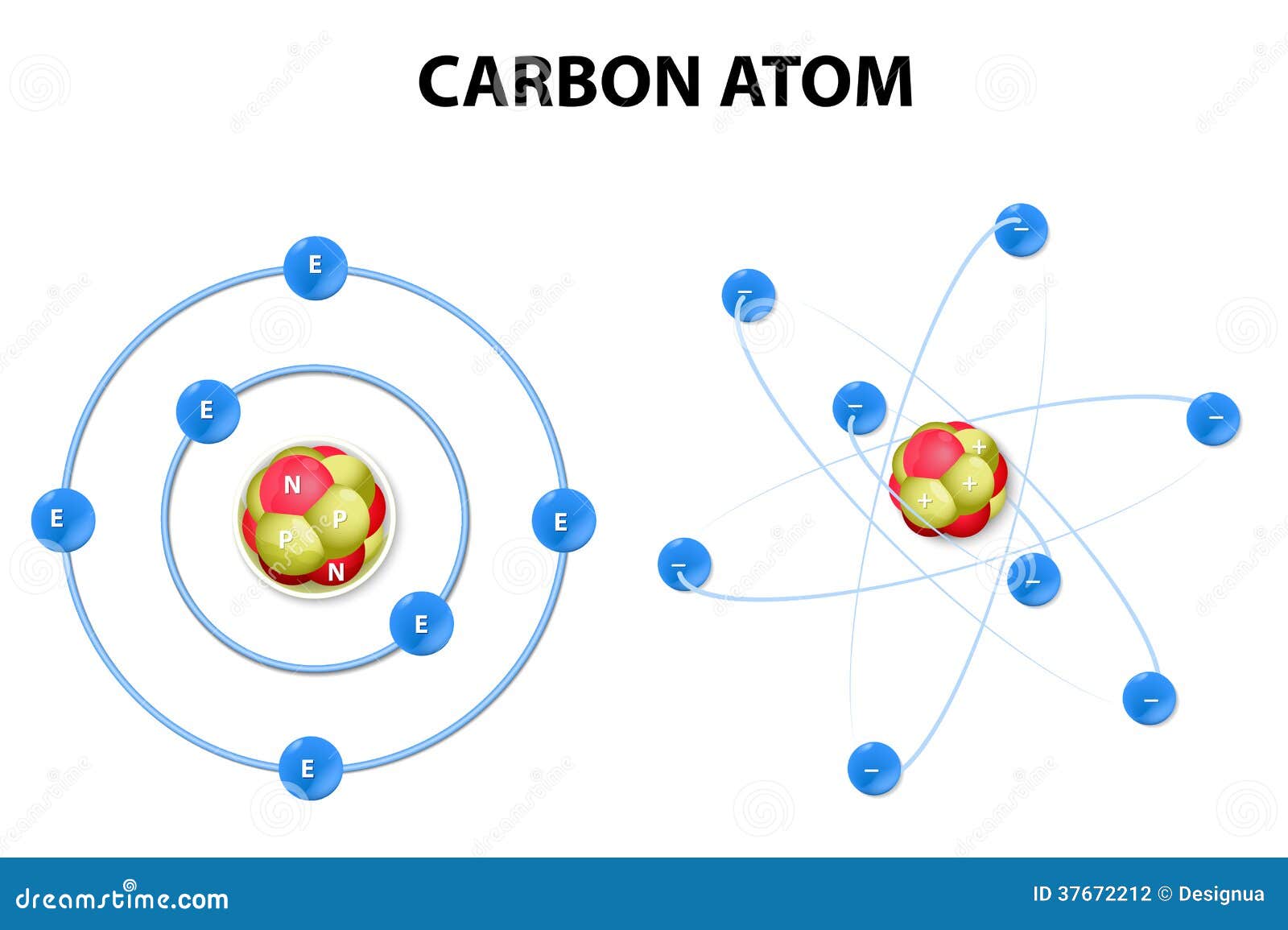 Atomo Di Carbonio Su Fondo Bianco. Struttura Illustrazione Vettoriale -  Illustrazione di molecolare, atomo: 37672212