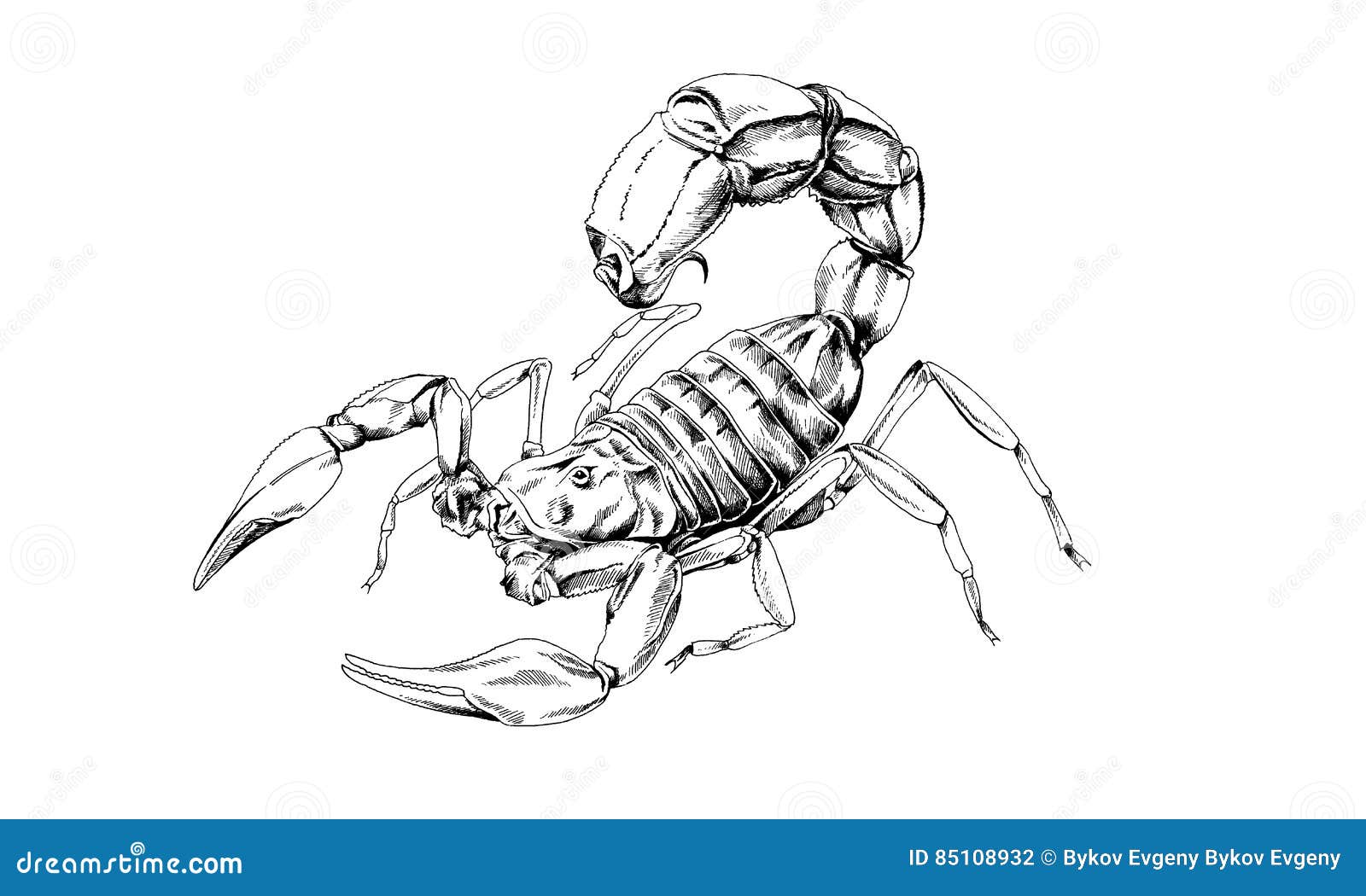 Как нарисовать скорпиона в полный рост арт
