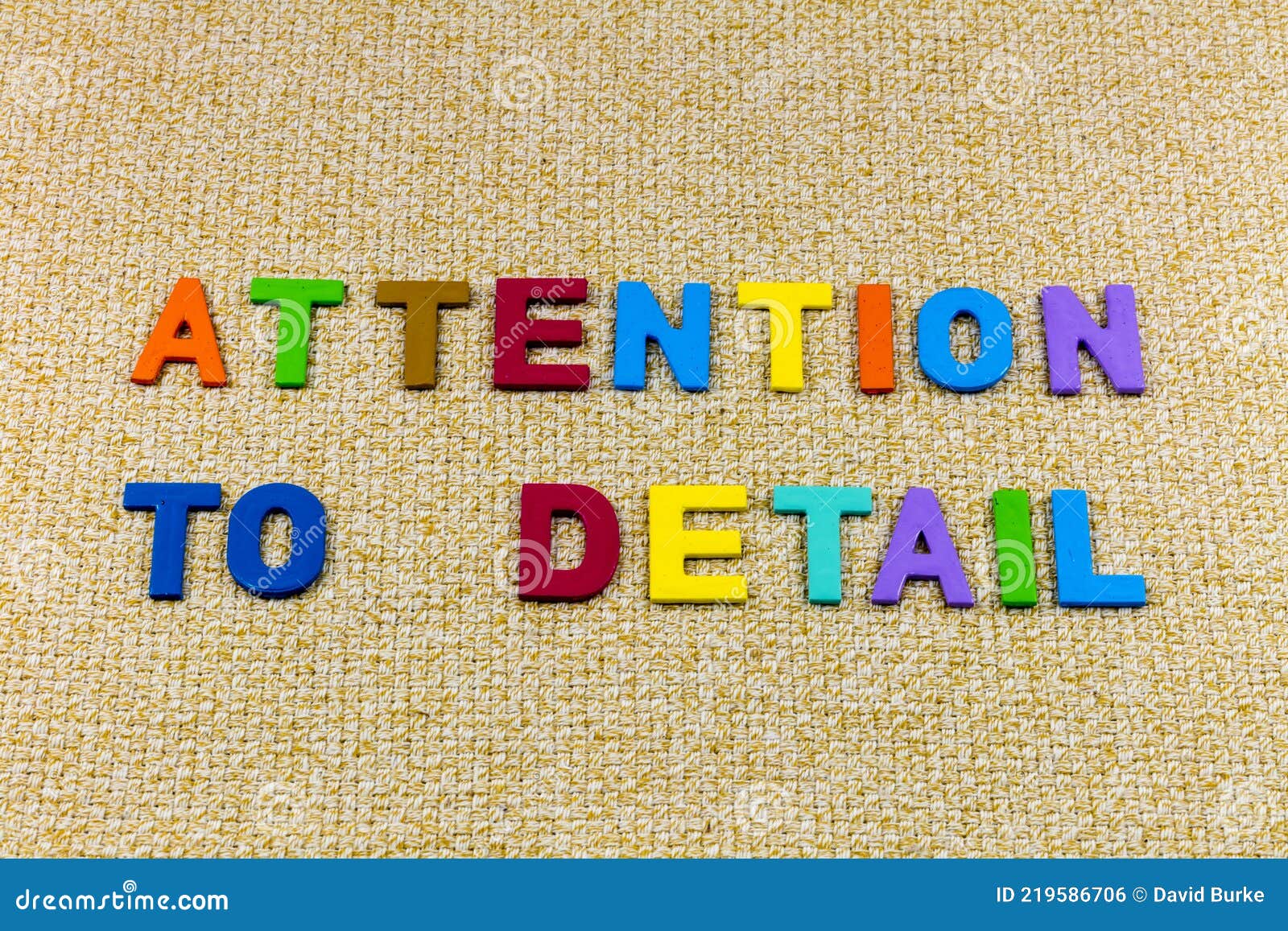 attention detail attentive business focus exact deliberate expert intent