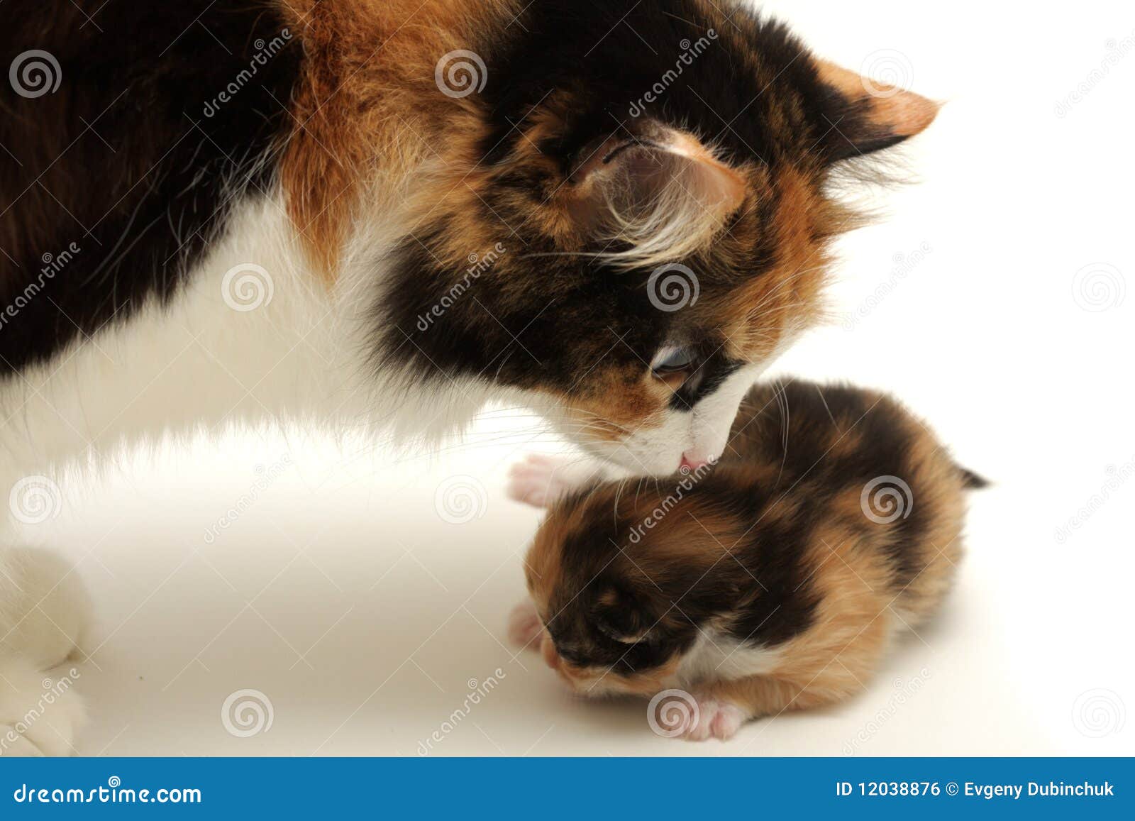 Attentive & Proven Personal Injury Attorneys in Wichita Falls, Texas