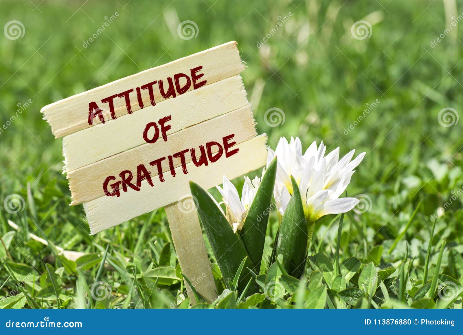 attitude of gratitude