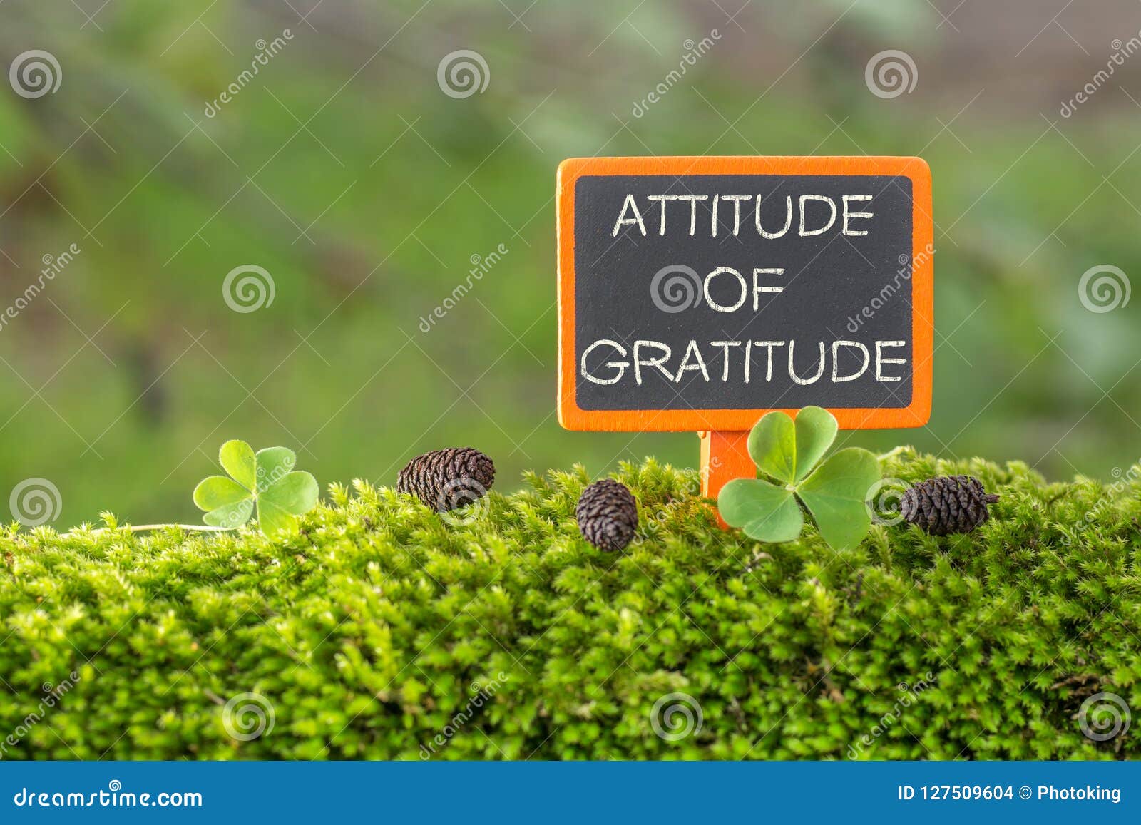 attitude of gratitude text on small blackboard