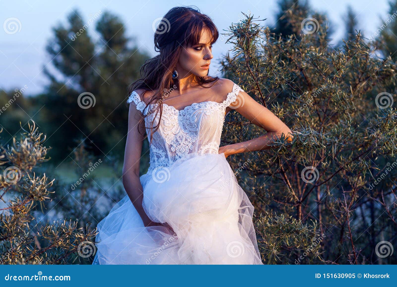 11194 Hair Bride Gown Hairstyle Stock Photos  Free  RoyaltyFree Stock  Photos from Dreamstime