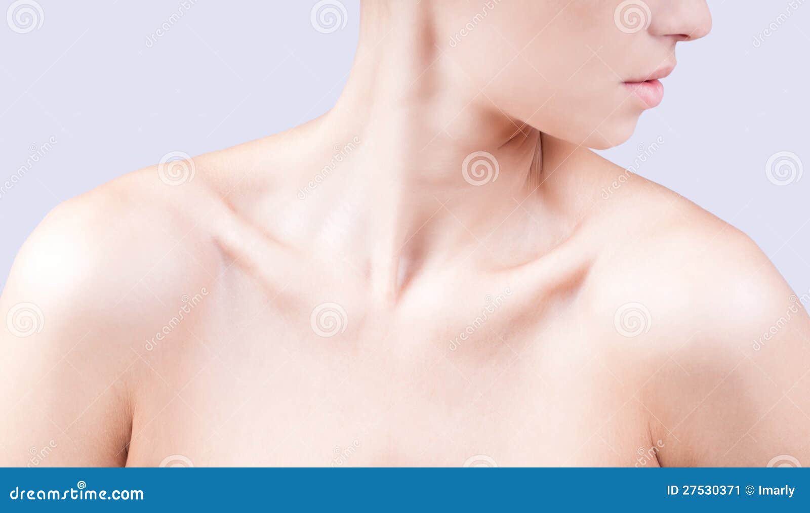 Attractive Caucasian Womans Neck And Shoulders Stock Image Image 27530371