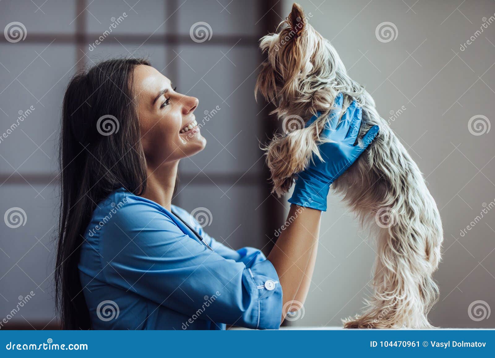 doctor veterinarian at clinic
