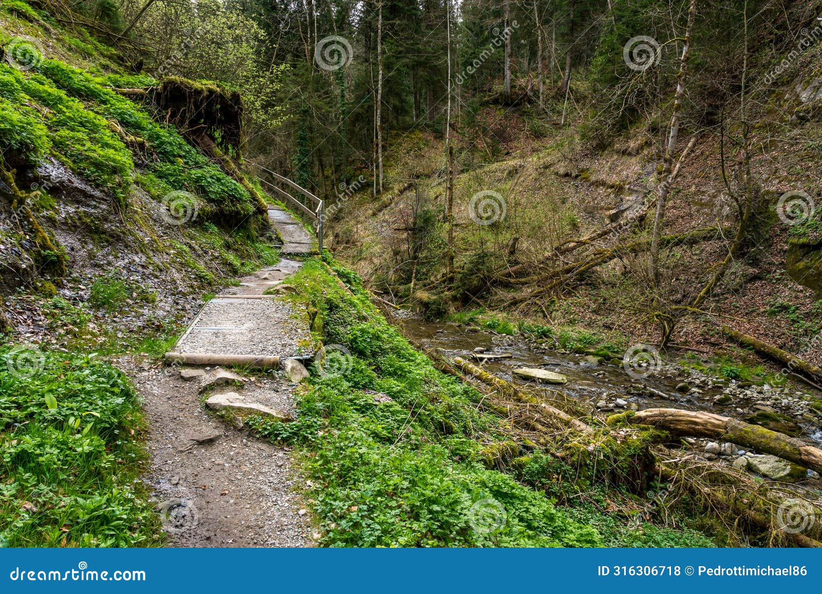 attractive hike through the hausbachklamm near weiler im allgau