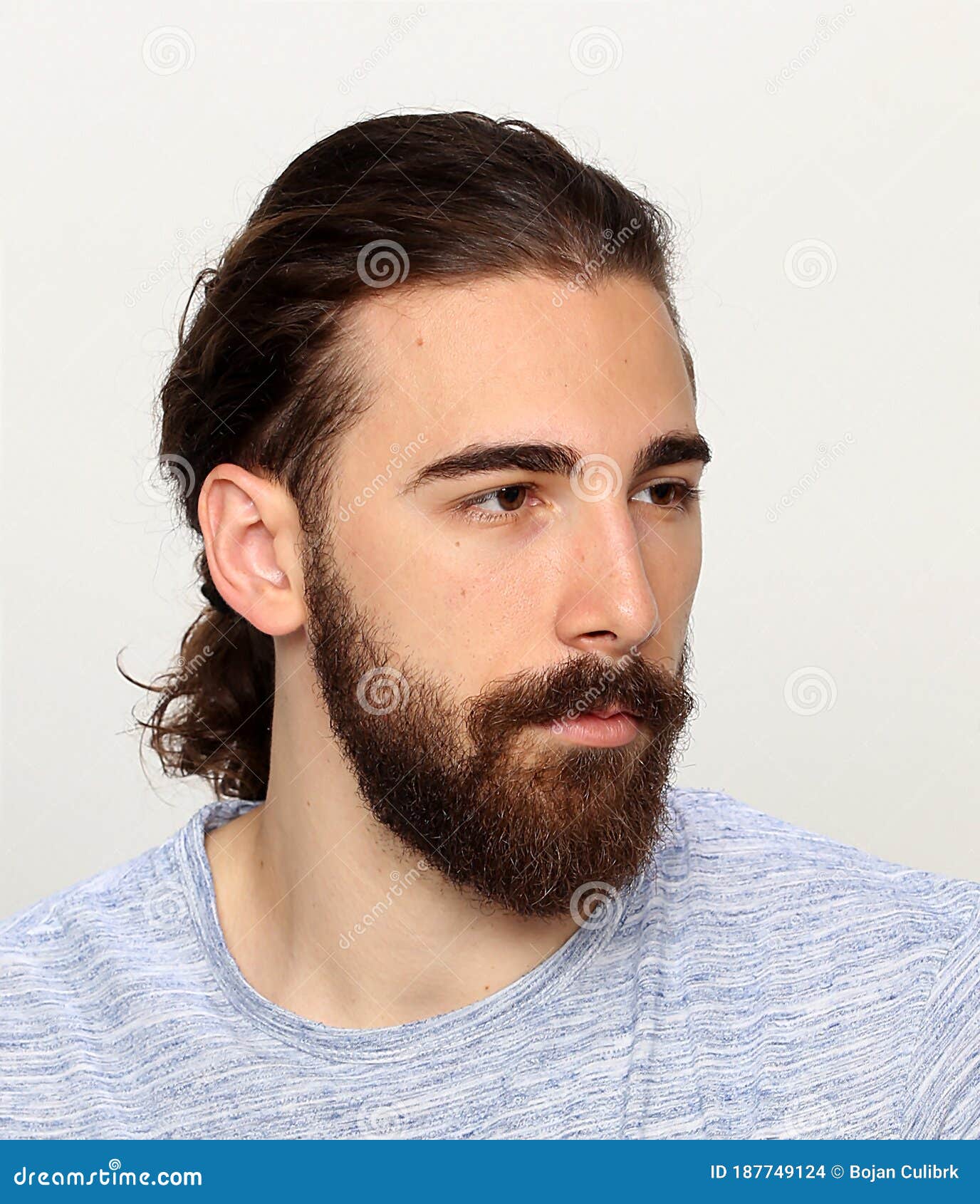 Attractive Male Model with Long Hair and Beard Posing in Studio on ...