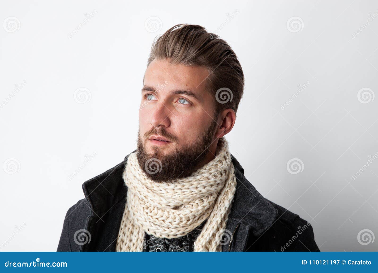 Attractive Man with a Beard and a Scarf Stock Image - Image of fall ...