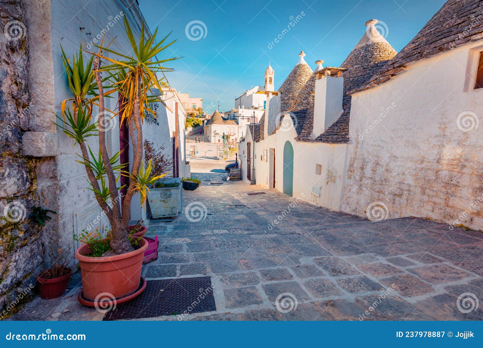 attractive morning view of strret with trullo trulli -  traditional apulian dry stone hut with a conical roof.