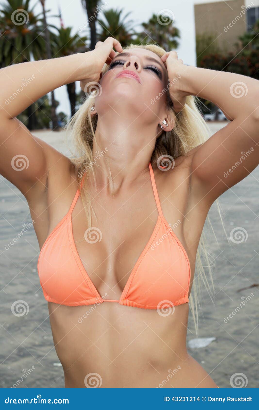 Attractive Young Woman on the Beach Stock Photo - Image of breast, beauty:  43231214