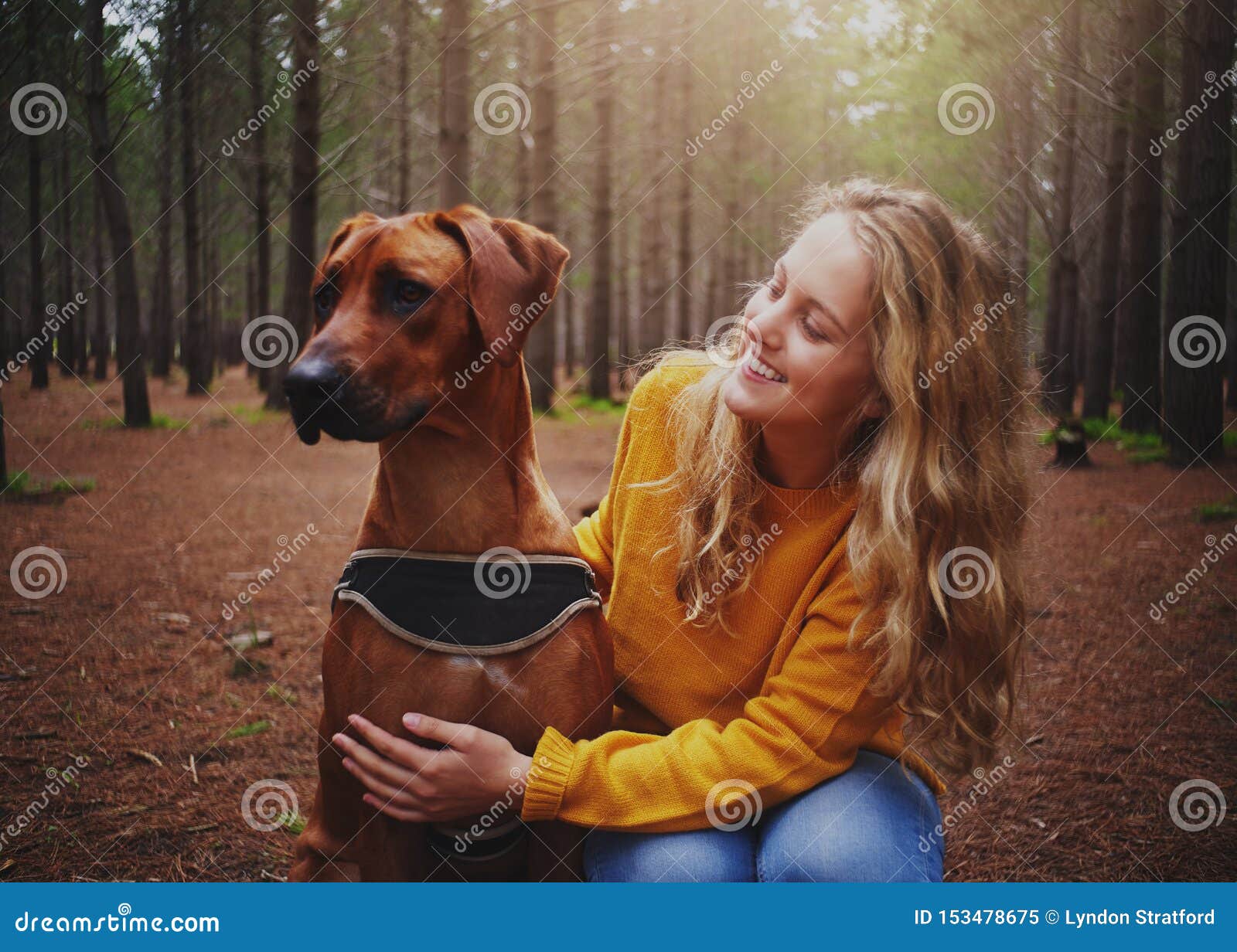 Dog Lovers
