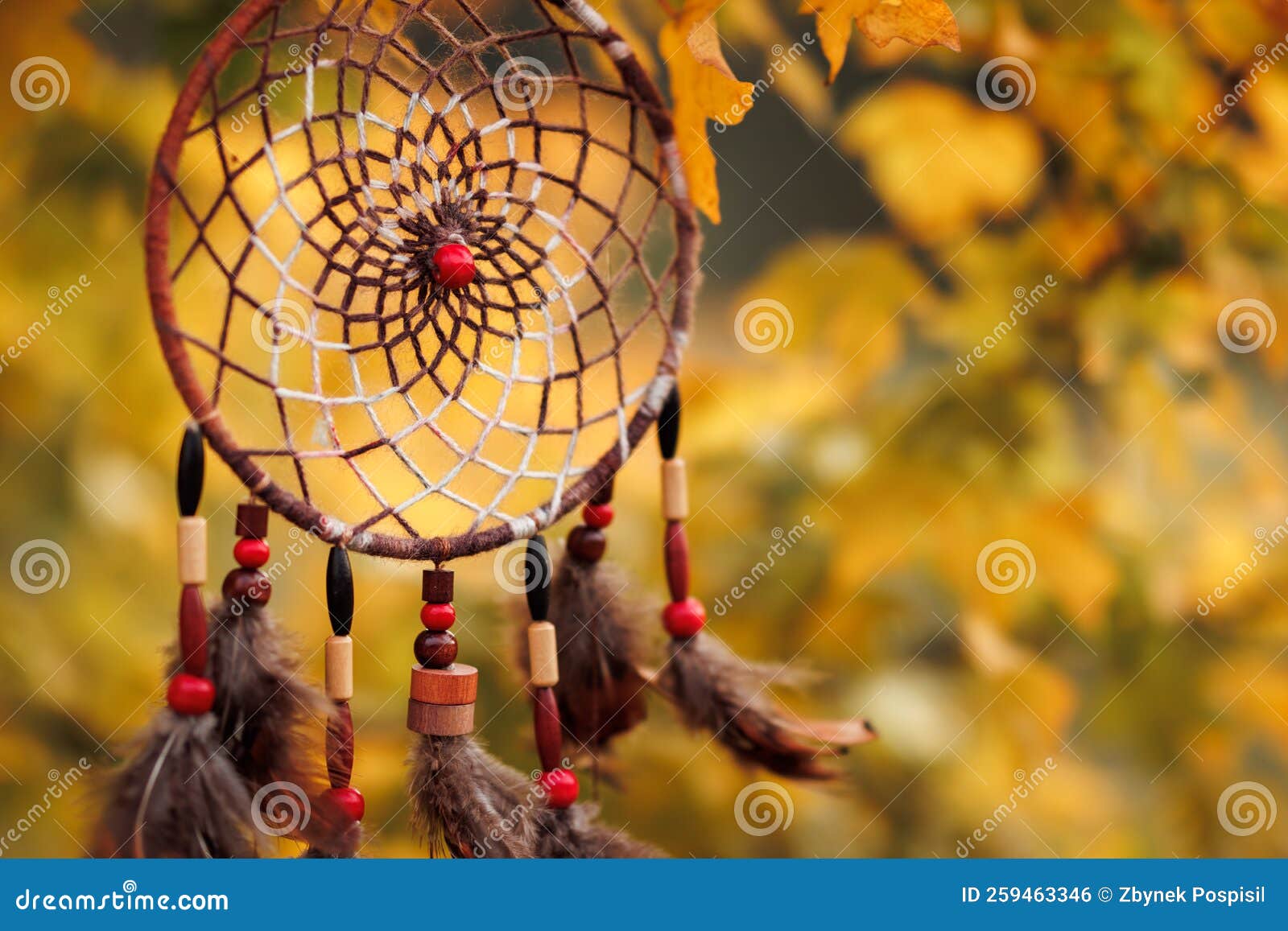 Attrape-drêche Accroché à L'arbre Entre Les Feuilles D'automne Photo stock  - Image du brun, atmosphère: 259463346