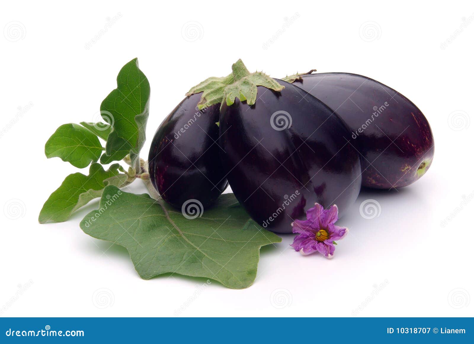Aubergine stock image. Image of dark, plant, cooking 10318707