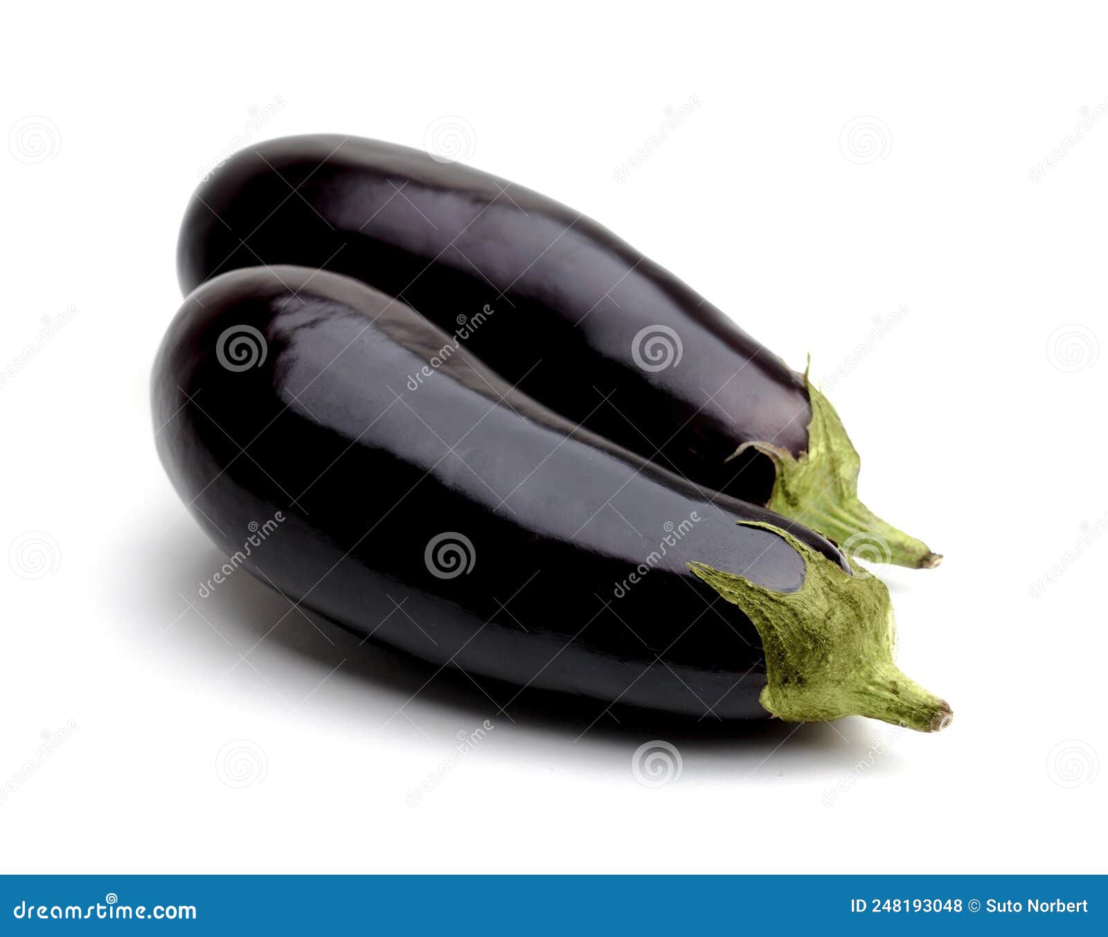 Aubergine or Eggplant on White Background Stock Photo Image of fresh