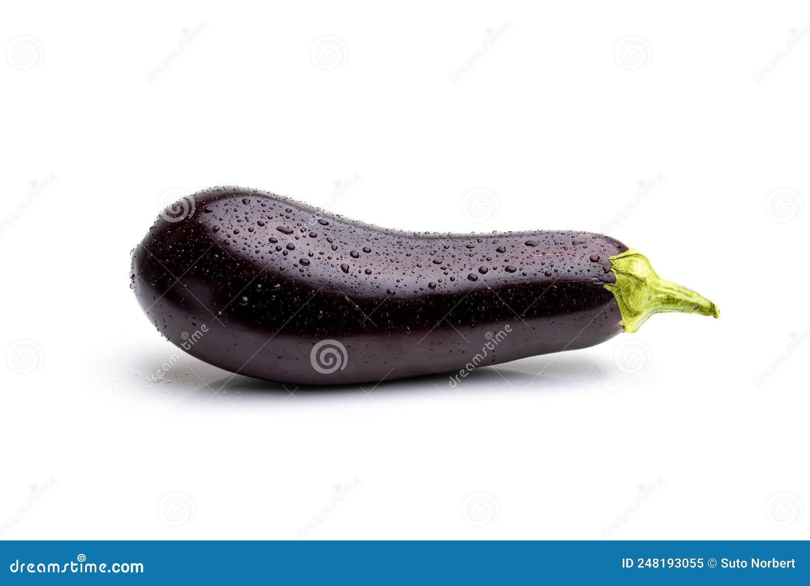 Aubergine or Eggplant on White Background Stock Image Image of