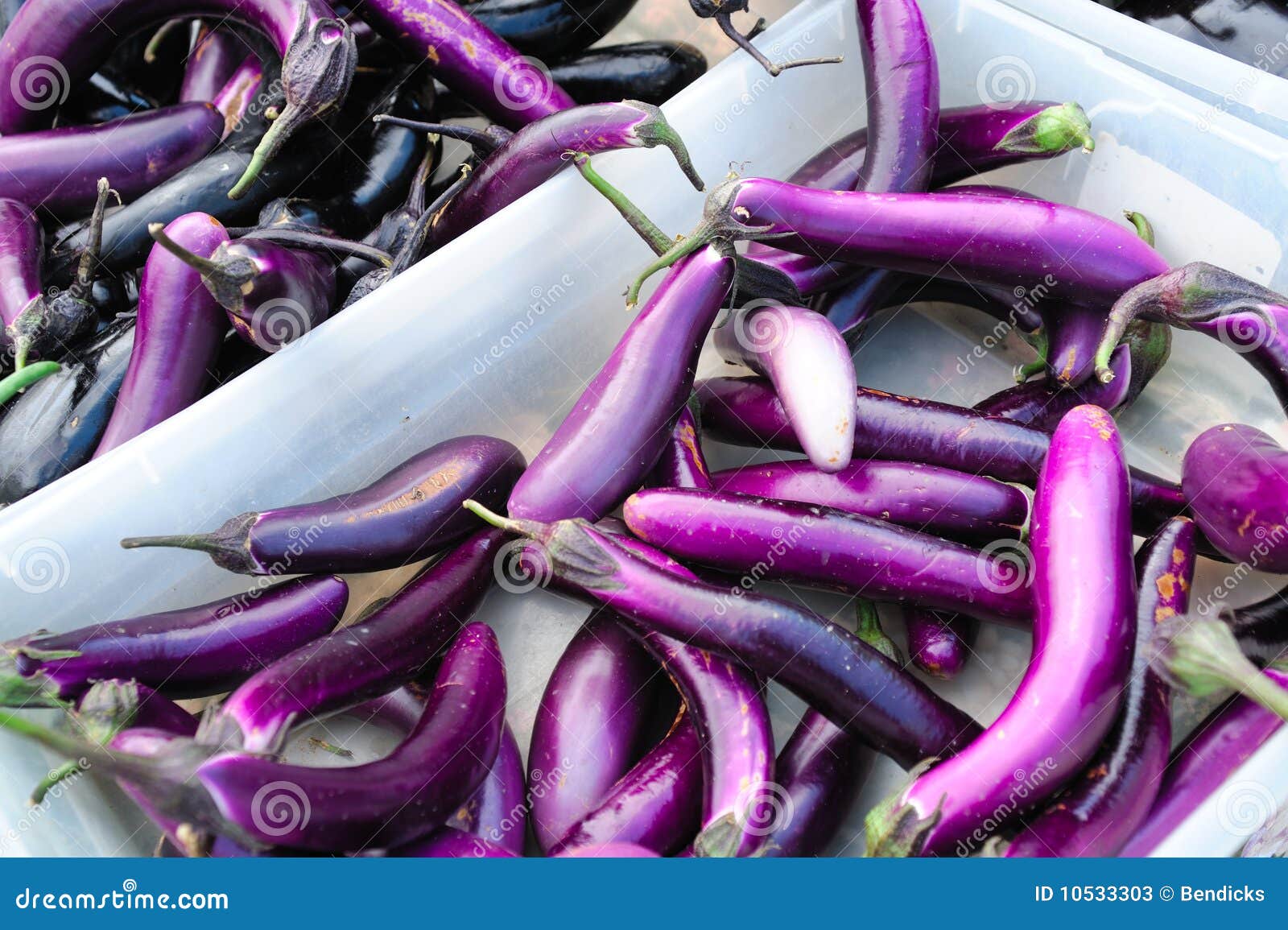 Aubergine japonaise image stock. Image du fruits, régime 10533303