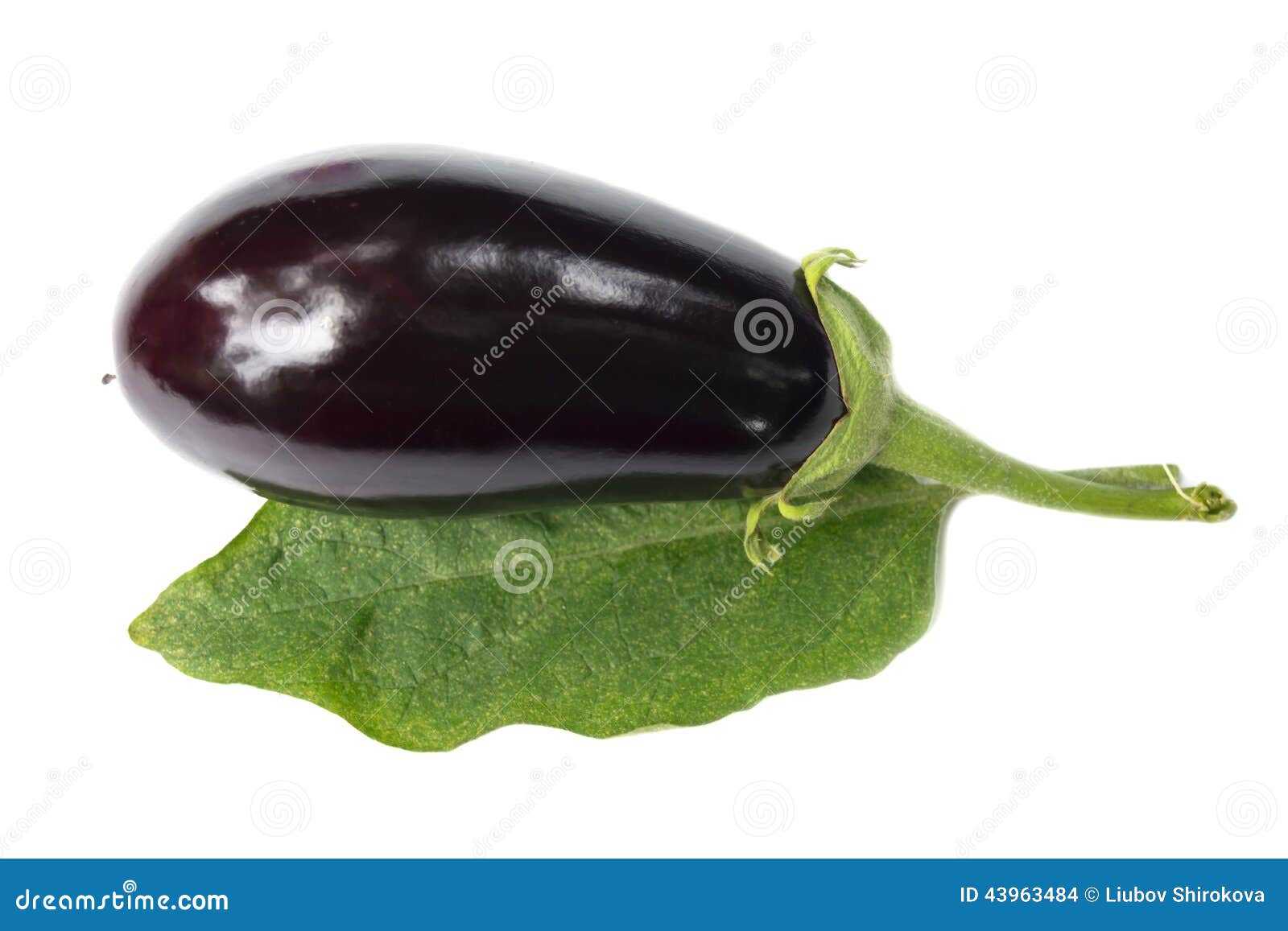 Aubergine stock photo. Image of eating, white, leaf, nature 43963484